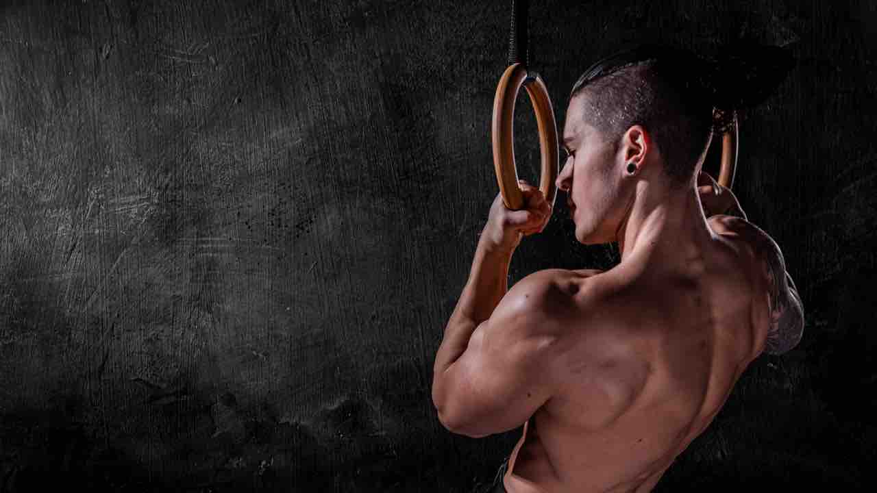 Calisthenics Foundations